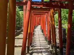 根津神社の鳥居