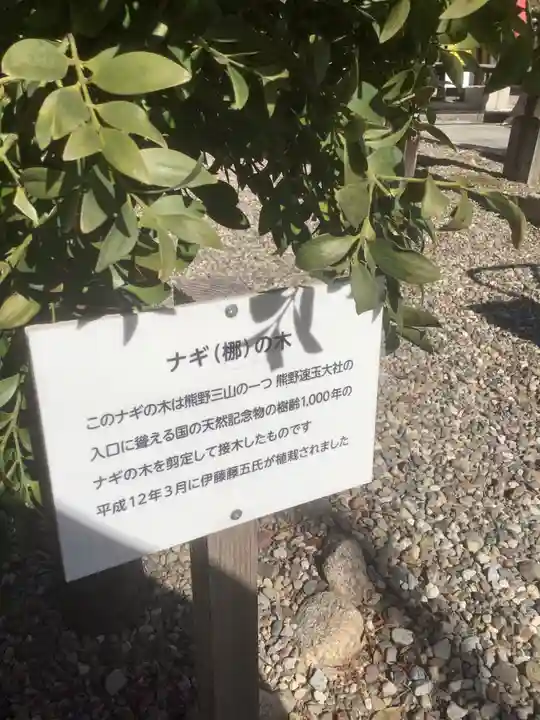 神明社(荒子神明社)の自然