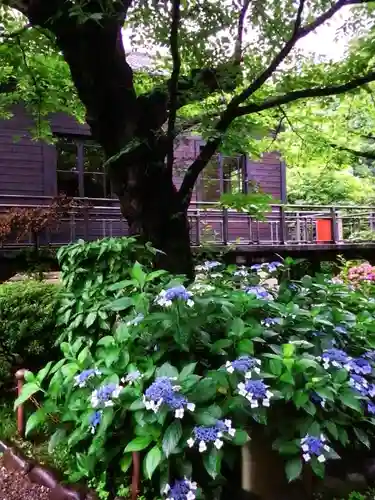 乃木神社(東京都)