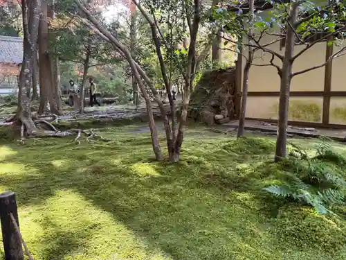 法然院(京都府)