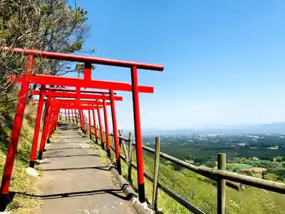朝日稲荷神社の鳥居