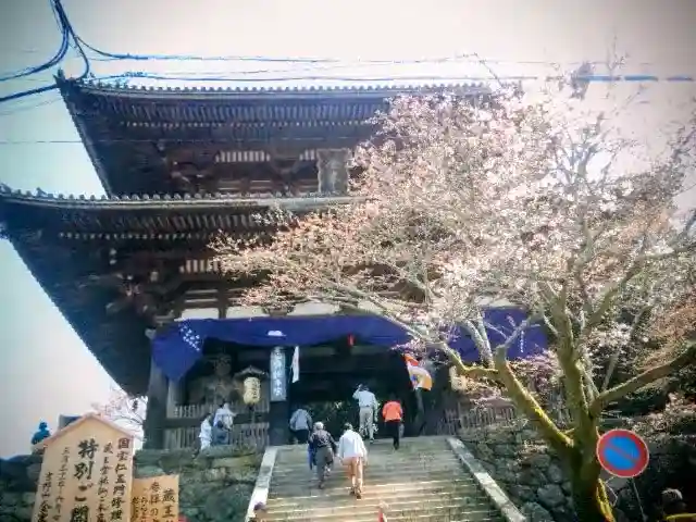 金峯山寺の{uncategorized: "未分類", other: "その他", undefined: "問題あり", building: "その他建物", grave: "お墓", sacred_gate: "鳥居", guardian: "狛犬", statue: "像", buddha: "仏像", history: "歴史", nature: "自然", garden: "庭園", animal: "動物", pagoda: "塔", temizu: "手水舎", mountain_gate: "山門・神門", sanctuary: "本殿・本堂", subordinate: "末社・摂社", art: "芸術", scenery: "景色", jizo: "地蔵", ema: "絵馬", goshuin: "御朱印", omikuji: "おみくじ", items: "授与品その他", amulet: "お守り", goshuincho: "御朱印帳", eats: "食事", festival: "お祭り", votive_dance: "神楽", shichigosan: "七五三参", wedding: "結婚式", experience: "体験その他", initially: "初詣", around: "周辺", anti_infection: "感染症対策"}