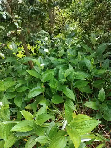 鏡石鹿嶋神社 ＊安産・開運・勝利の神さま＊(福島県)