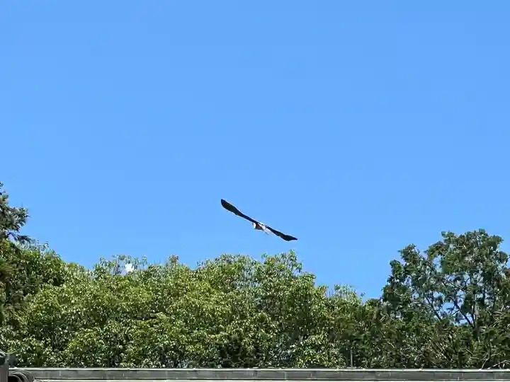 大生郷天満宮(茨城県)