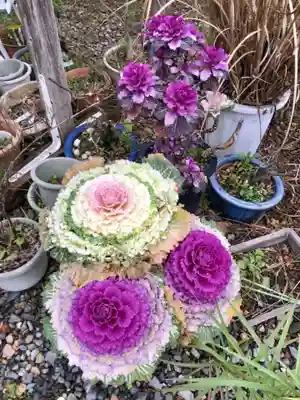 梅宮大社(京都府)