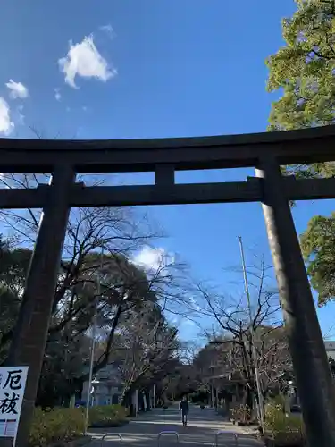 愛知縣護國神社の鳥居