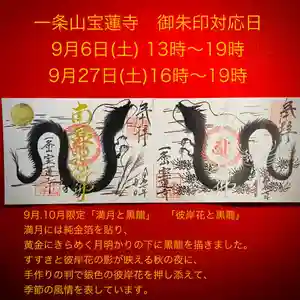 一条山宝蓮寺の御朱印 2025年09月06日(土)〜(2025年09月04日(木) 21時53分47秒投稿)
