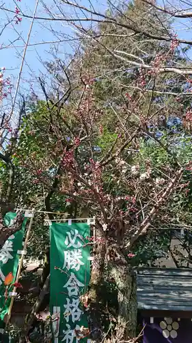 阿佐ヶ谷神明宮のその他建物