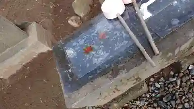 伏木香取神社の手水舎
