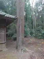 佐志能神社のその他建物