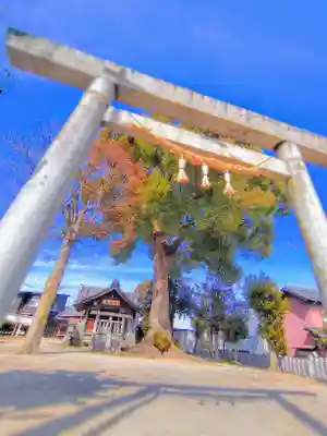 津島社（天王町）の鳥居