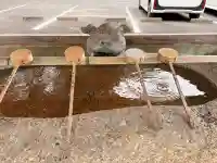 伊奈冨神社の{uncategorized: "未分類", other: "その他", undefined: "問題あり", building: "その他建物", grave: "お墓", sacred_gate: "鳥居", guardian: "狛犬", statue: "像", buddha: "仏像", history: "歴史", nature: "自然", garden: "庭園", animal: "動物", pagoda: "塔", temizu: "手水舎", mountain_gate: "山門・神門", sanctuary: "本殿・本堂", subordinate: "末社・摂社", art: "芸術", scenery: "景色", jizo: "地蔵", ema: "絵馬", goshuin: "御朱印", omikuji: "おみくじ", items: "授与品その他", amulet: "お守り", goshuincho: "御朱印帳", eats: "食事", festival: "お祭り", votive_dance: "神楽", shichigosan: "七五三参", wedding: "結婚式", experience: "体験その他", initially: "初詣", around: "周辺", anti_infection: "感染症対策"}