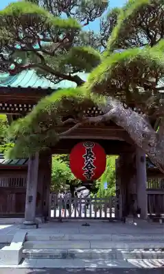 長谷寺の山門・神門