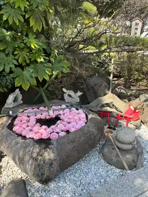 東京羽田 穴守稲荷神社(東京都)