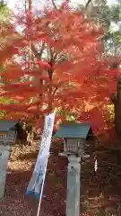 南湖神社の自然