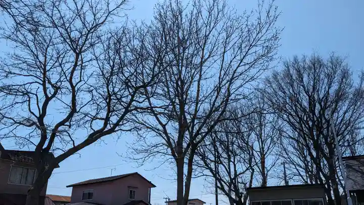 根室出雲神社の自然