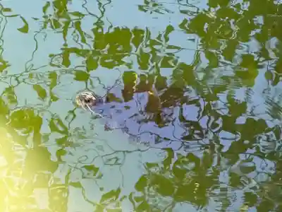 磐井神社(東京都)