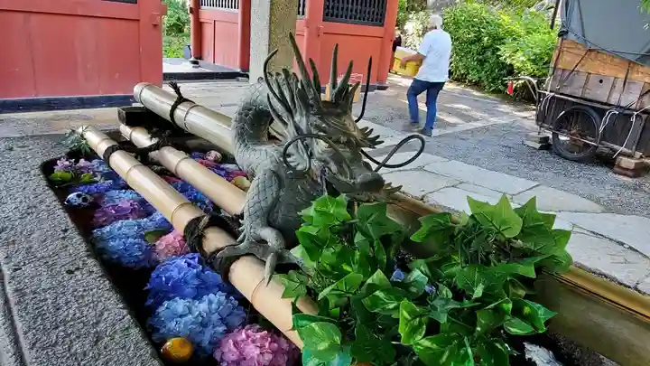 楽法寺(雨引観音)の手水舎