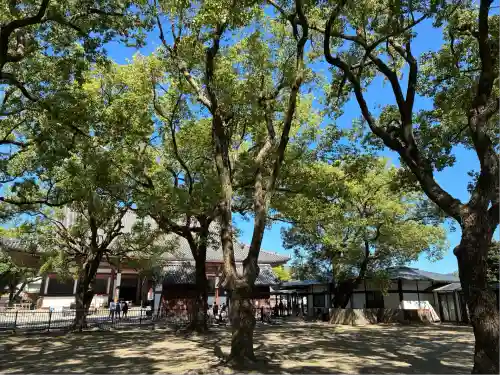 東寺（教王護国寺）(京都府)