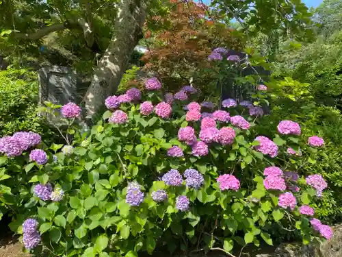 長谷寺(奈良県)