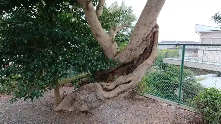桃澤神社(静岡県)