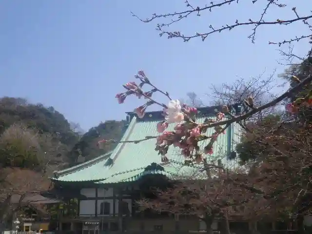 光明寺のその他建物