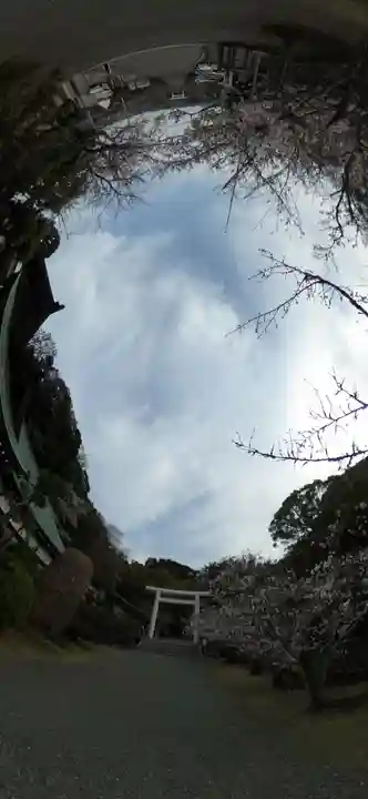 安房神社(千葉県)