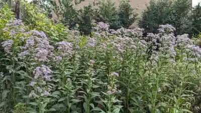 玉田神社(京都府)