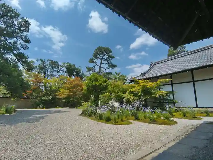 廬山寺(廬山天台講寺)(京都府)