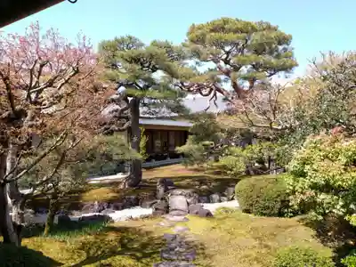 妙顯寺（妙顕寺）(京都府)