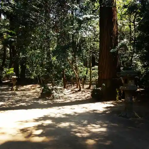 鹿島神宮の自然