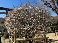 五條天神社(東京都)