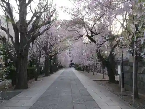 吉祥寺のその他建物