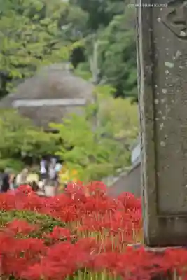横浜　西方寺(神奈川県)