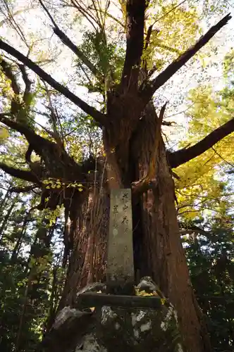 三瀧神社(愛媛県)