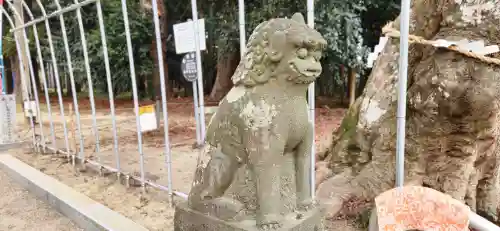 賀茂神社の狛犬