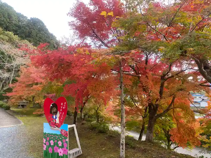 桂谷寺(兵庫県)