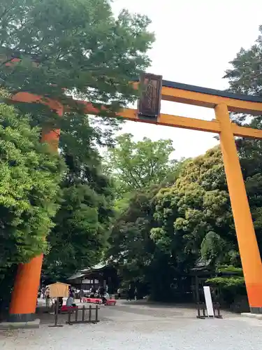 川越氷川神社の鳥居