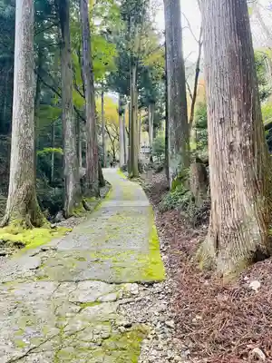 古知谷阿弥陀寺(京都府)