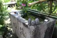 宝蔵寺の手水舎