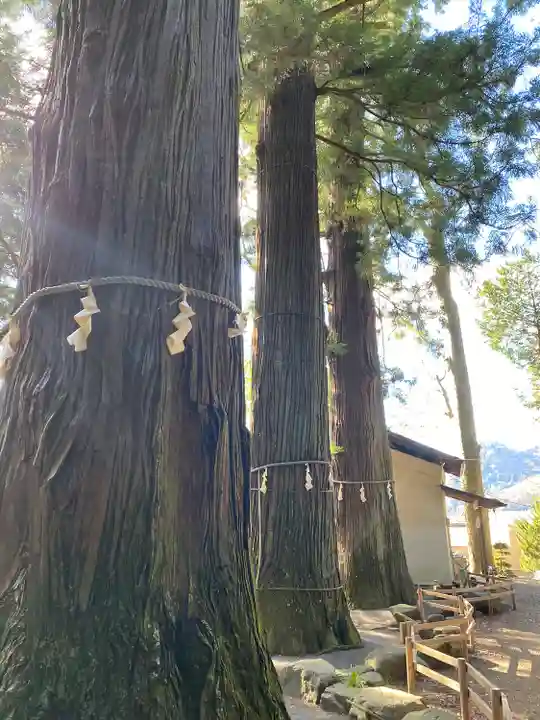 河口浅間神社(山梨県)