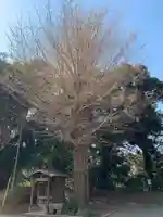 円應寺(千葉県)