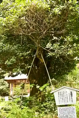 慈光寺(埼玉県)