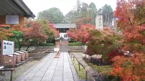 光明寺（粟生光明寺）のその他建物