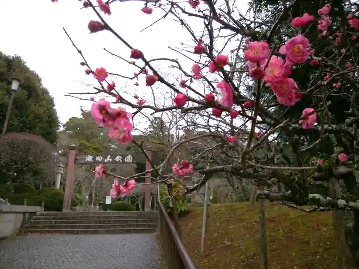 成田山新勝寺(千葉県)
