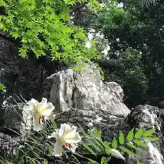 鹿島大神宮の自然