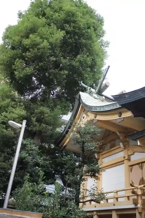天祖神社の本殿・本堂