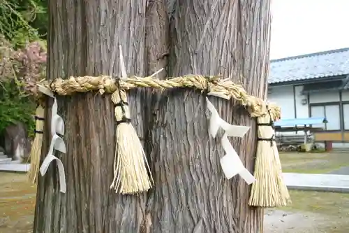 春日神社の自然