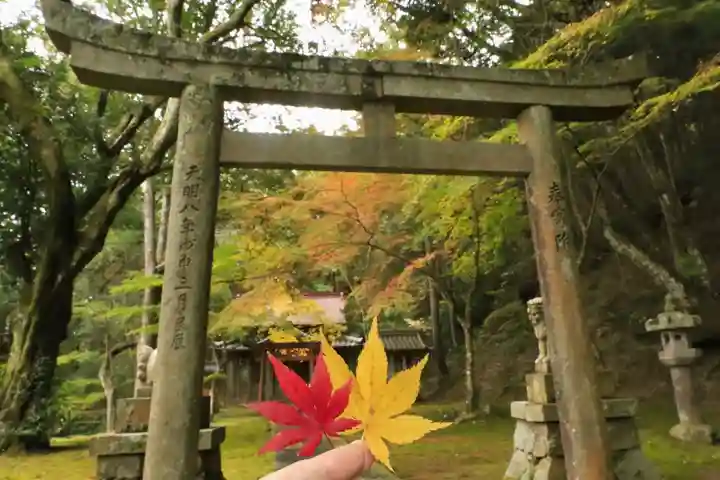 桜天満宮(京都府)