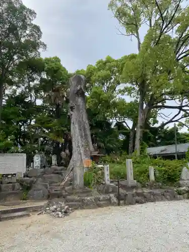 吉祥草寺(奈良県)